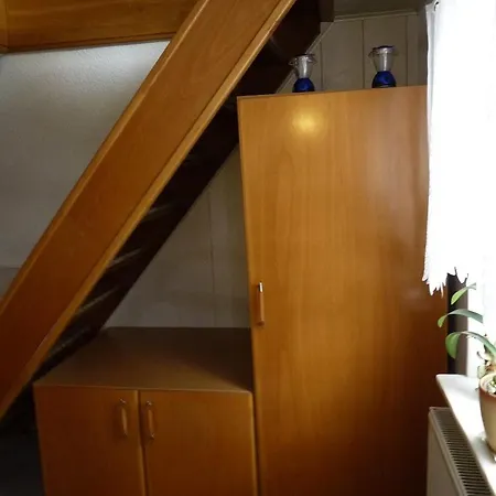 Messerschmidt * Rosa